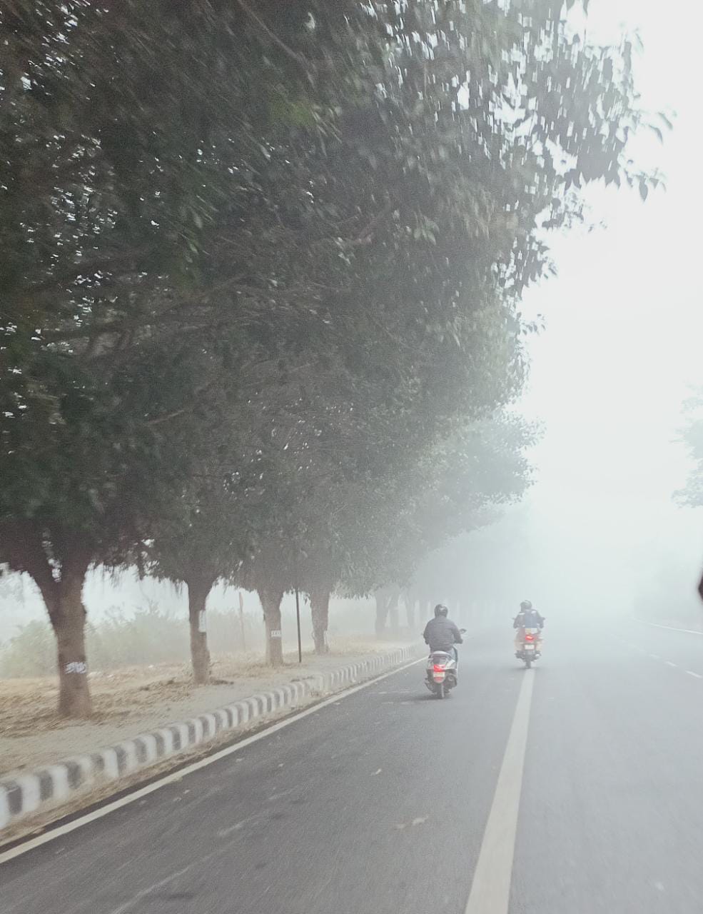 Cyclone Gulab makes landfall in Andhra Pradesh; Odisha experiences light rain