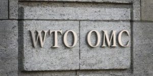 World Trade Organization (WTO)