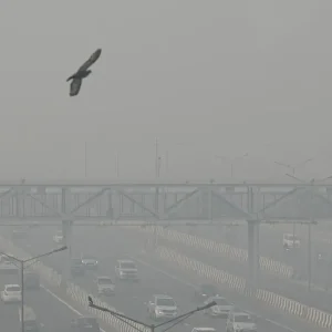 Delhi’s Air Quality Declines to Severe Levels: Urgent Action Required