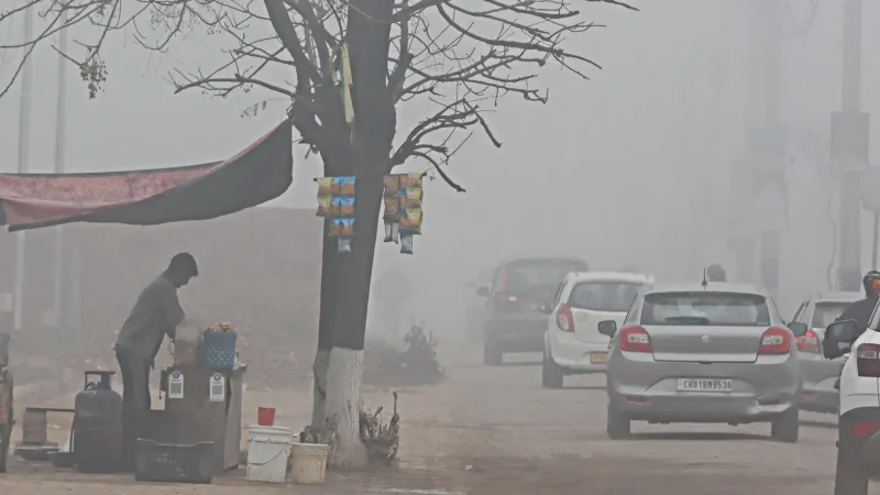 “Chandigarh Records Coldest Night of the Season at 6.8°C; Rain Expected to Provide Relief”